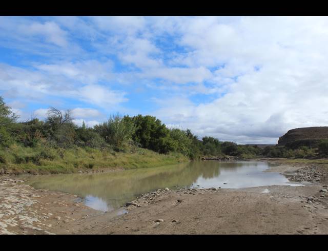 5,614HA FARM FOR SALE IN MERWEVILLE